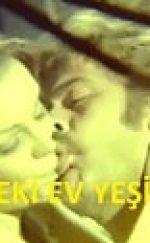 Tepedeki Ev Yeşilçam Erotik Filmi izle