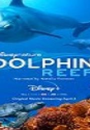 Dolphin Reef izle