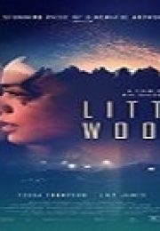 Little Woods Türkçe Dublajlı izle