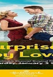 Surprised By Love – Sürpriz Aşk Türkçe Dublaj izle