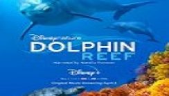 Dolphin Reef izle