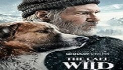 Vahşetin Çağrısı izle